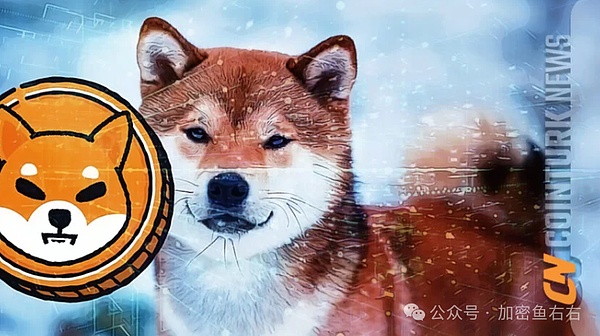 昔日密友反目成仇：SBF欺诈案关键证人全解析
