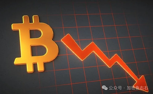 市场观察：牛初震荡中的布局良机