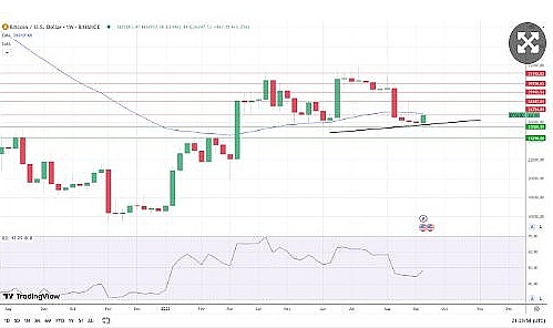 稳定币江湖：为何USDC和DAI总是掉链子？